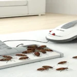 Can Bed Bugs Crawl Out of a Vacuum Cleaner